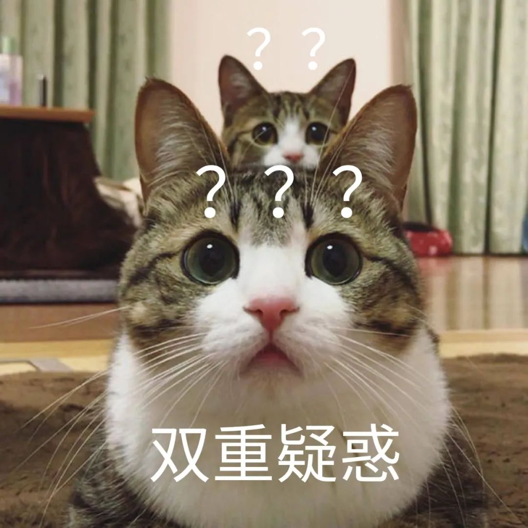 免税店排队都要买的巧克力柑橘片,到底有啥魔力?