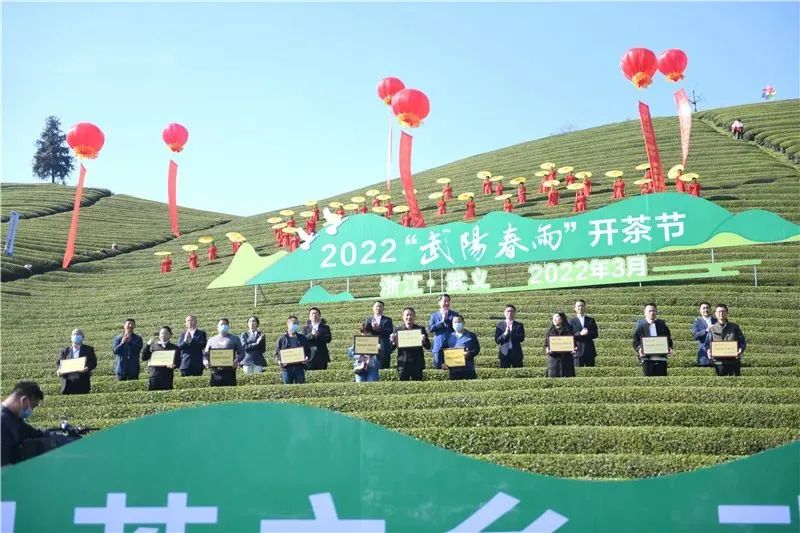春茶季 | 浙江武义:数字赋能茶更香 “四色”茶叶促共富