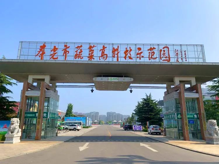 农业产业集群建设,要分三步走