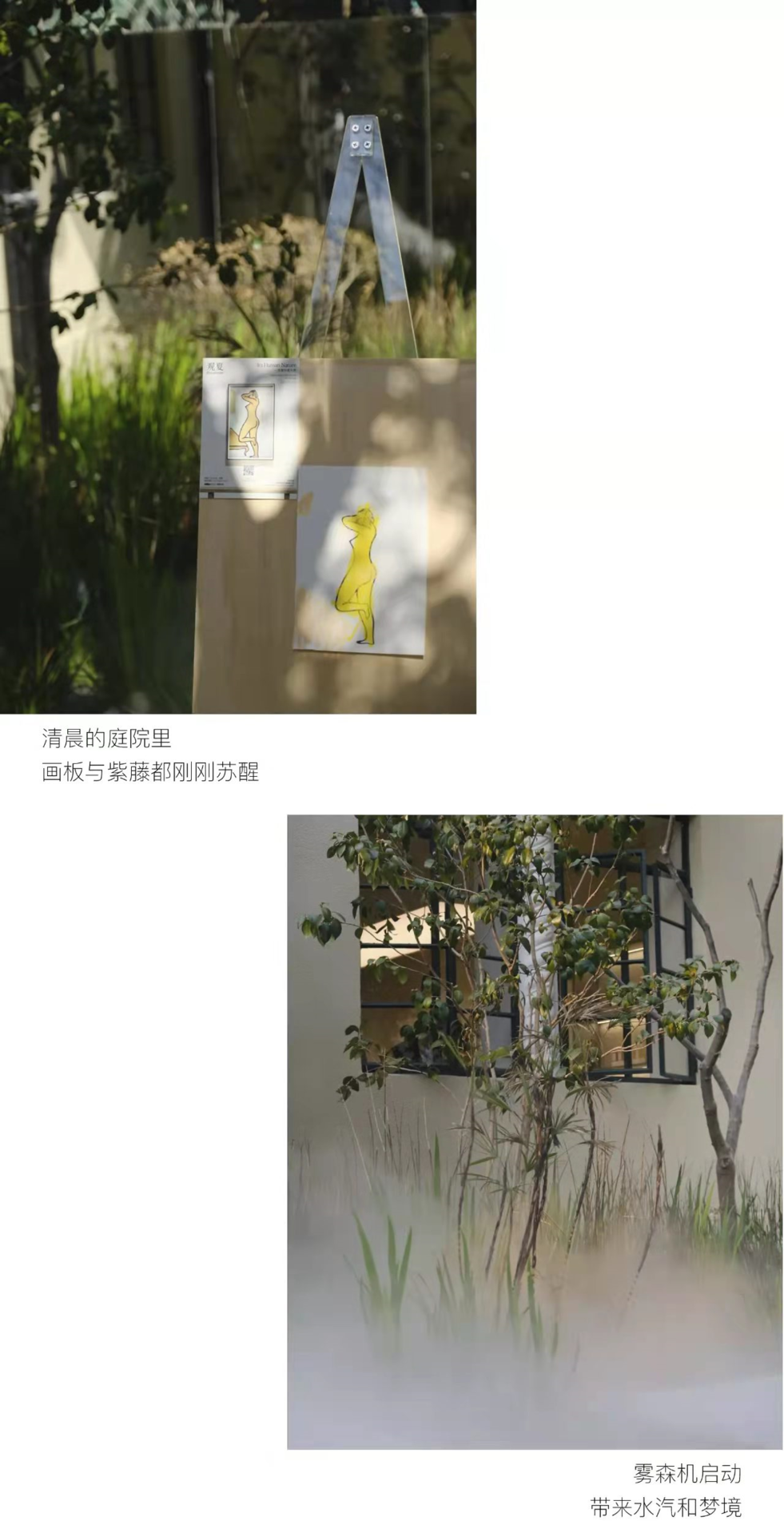 案例分享:不上淘系,不做投放,观夏是如何靠「极致内容」让消费者抢着买的?