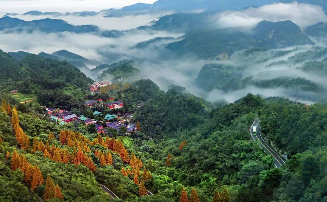 地标专题 | 武当道茶:基于文脉,对应现代