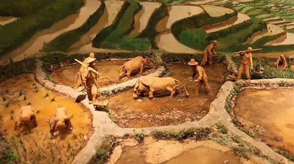农业与中国酒的起源