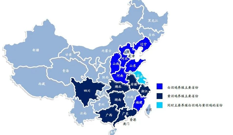 黄羽肉鸡产业现状：正向长江中上游及北方市场蔓延！