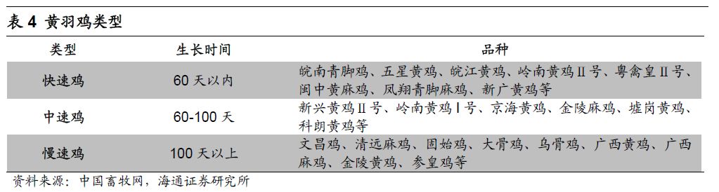 黄羽肉鸡产业现状:正向长江中上游及北方市场蔓延!