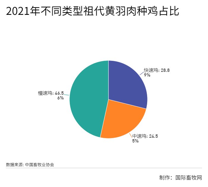 黄羽肉鸡产业现状:正向长江中上游及北方市场蔓延!