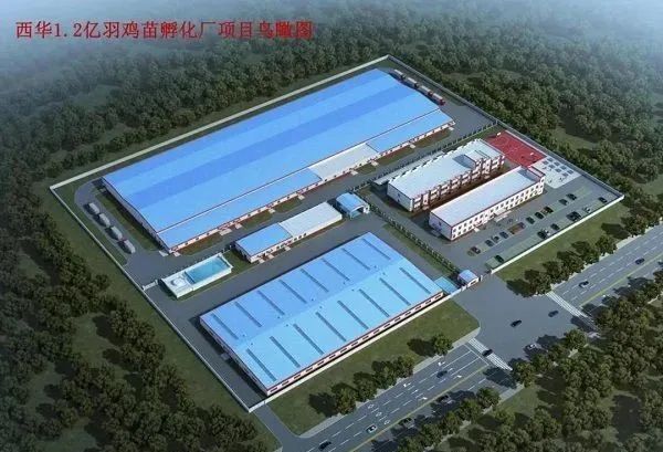 双汇:新建2.5亿只肉鸡项目正按计划推进!