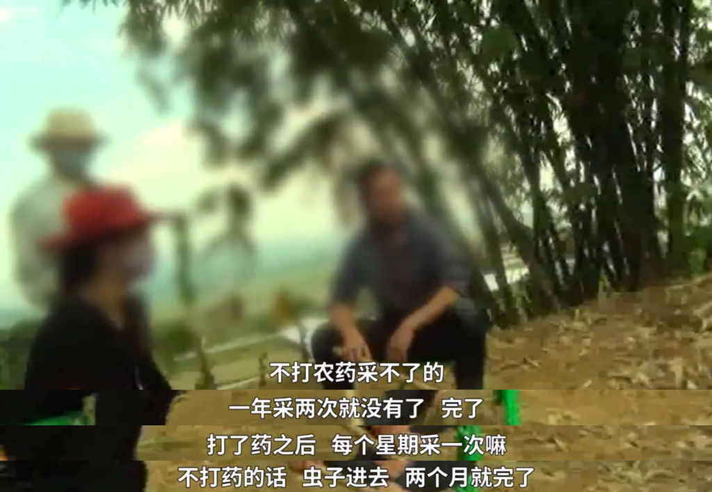 “茶与茶寻”能否成为伊利茶饮料的爆品?
