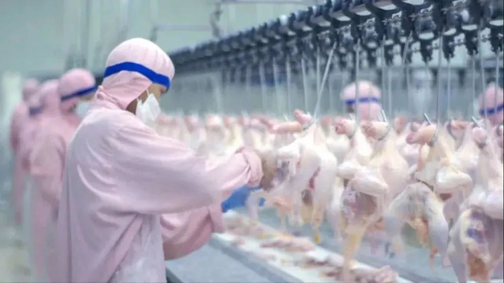 连老百姓饭碗都被“卡脖子”，中国如何打好种业翻身仗？