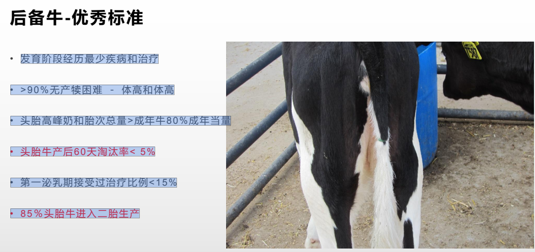 刘海涛:低奶价下牧场运营管理