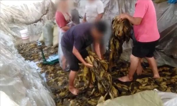 实在想不到:这个卖酸菜的,年收入能破8亿!