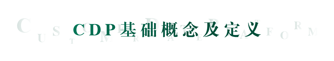 谷海松:营销云的下半场,CDP的过往与未来