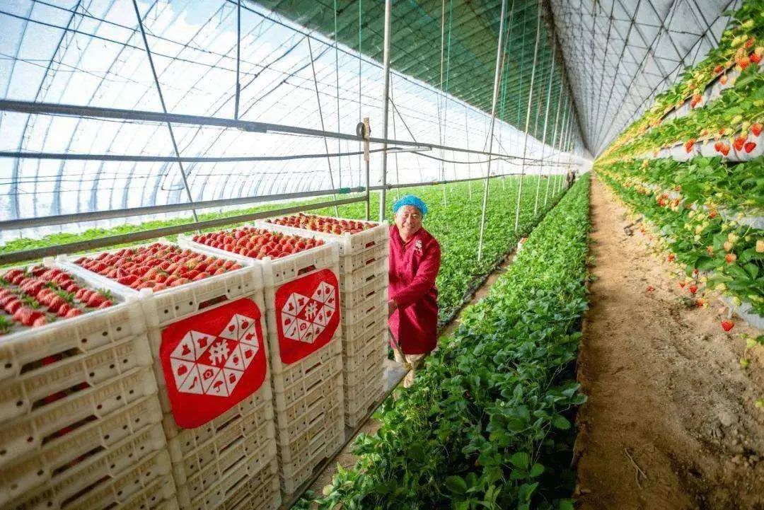 拼多多继续下沉