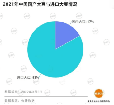 猪饲料比大米还贵,中国人还能“吃肉自由”吗?