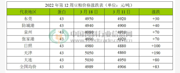 猪饲料比大米还贵,中国人还能“吃肉自由”吗?