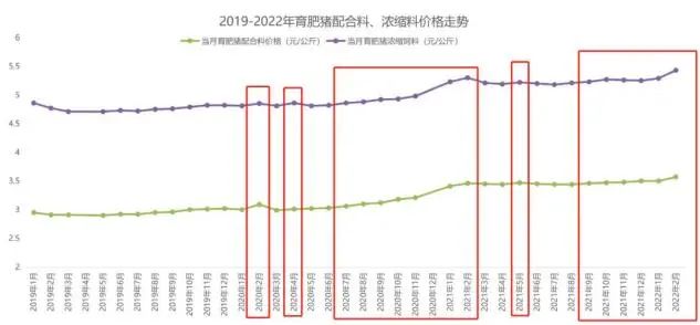 猪饲料比大米还贵,中国人还能“吃肉自由”吗?