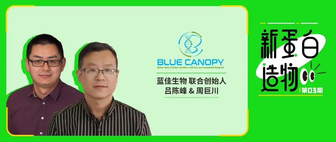 「蓝佳生物」创始人:用真菌发酵打破新蛋白高价门槛