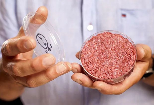 「蓝佳生物」创始人:用真菌发酵打破新蛋白高价门槛