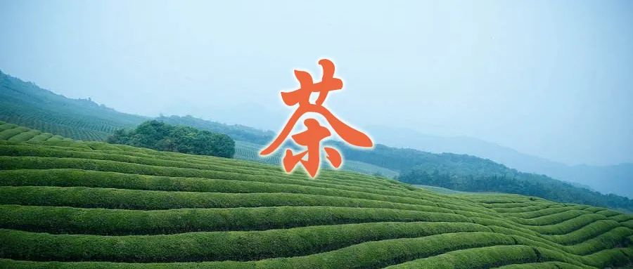 中国茶饮战报：康师傅179.89亿，统一120.15亿，农夫山泉45.79亿……