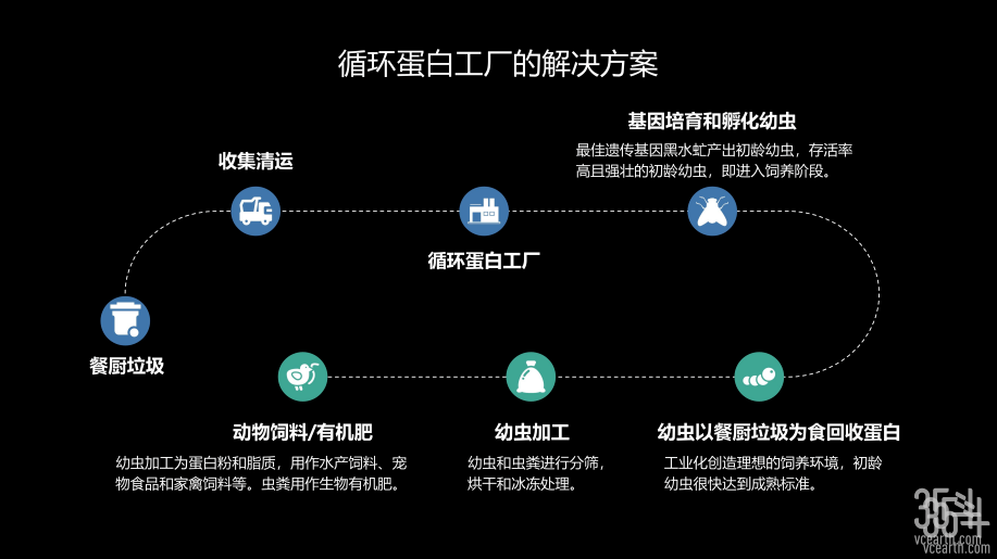 13家公司累计融资超60亿元,昆虫蛋白缘何成为新风口?