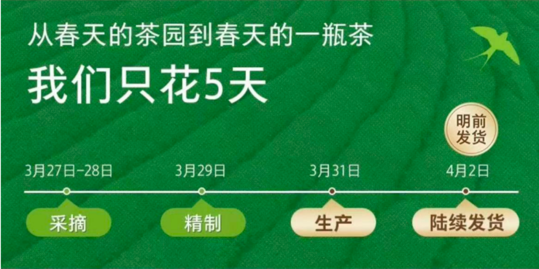 把龙井做成瓶装茶有多难?东方树叶酝酿11年首推春季限定