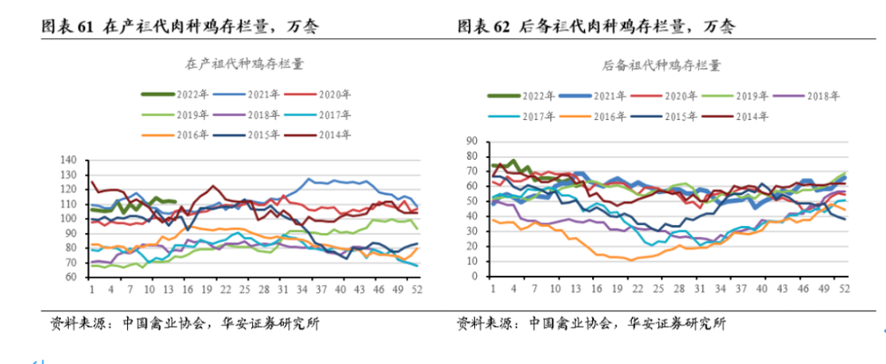 禽肉行业进入亏损期,头部企业逆势扩张!