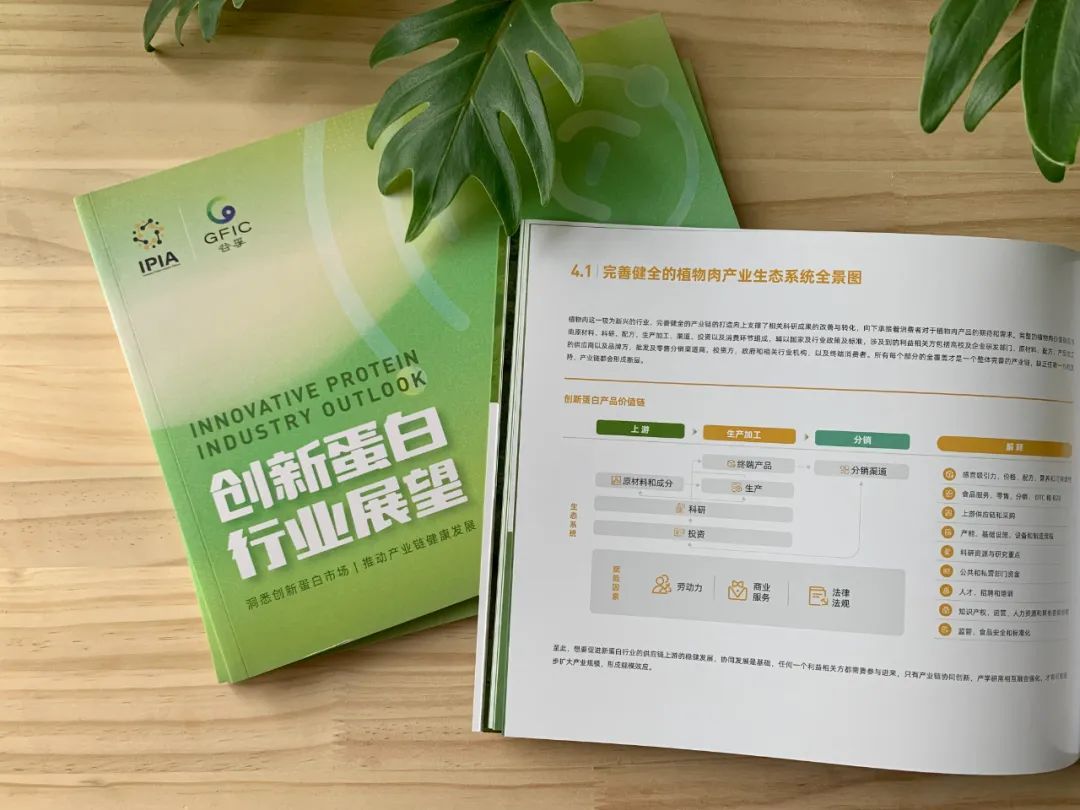 「谷孚GFIC」CEO李佩莹:提供全产业链合作平台,助力解决新蛋白行业难题