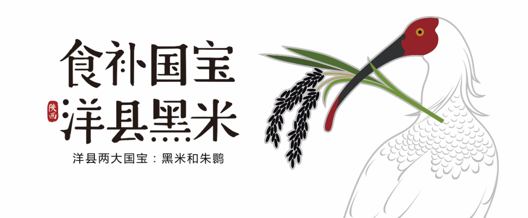 洋县黑米:从地理标志产品到区域公用品牌