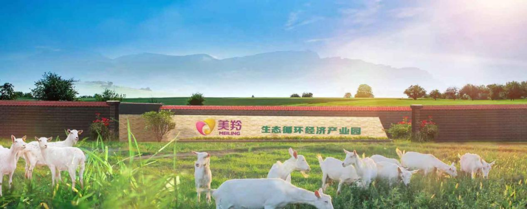 战略眼® | 红星美羚搏命IPO启示录