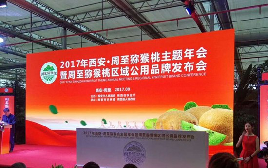 地标专题 | 周至猕猴桃：上下求索品牌之道
