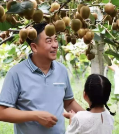 地标专题 | 周至猕猴桃：上下求索品牌之道