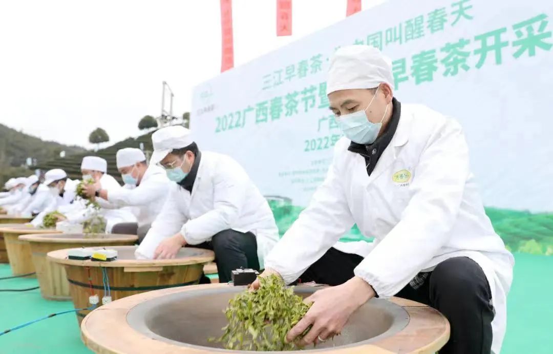 国际茶日:新锐三江茶,在茶产业的红海乘风破浪