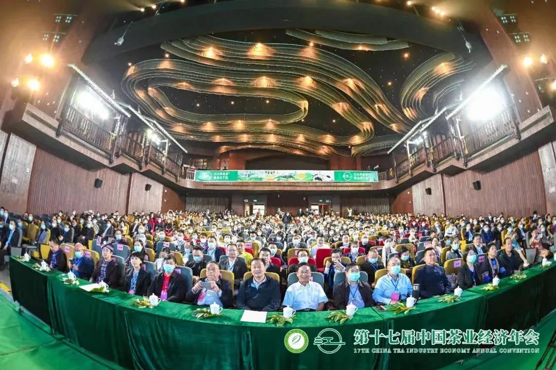 国际茶日:新锐三江茶,在茶产业的红海乘风破浪