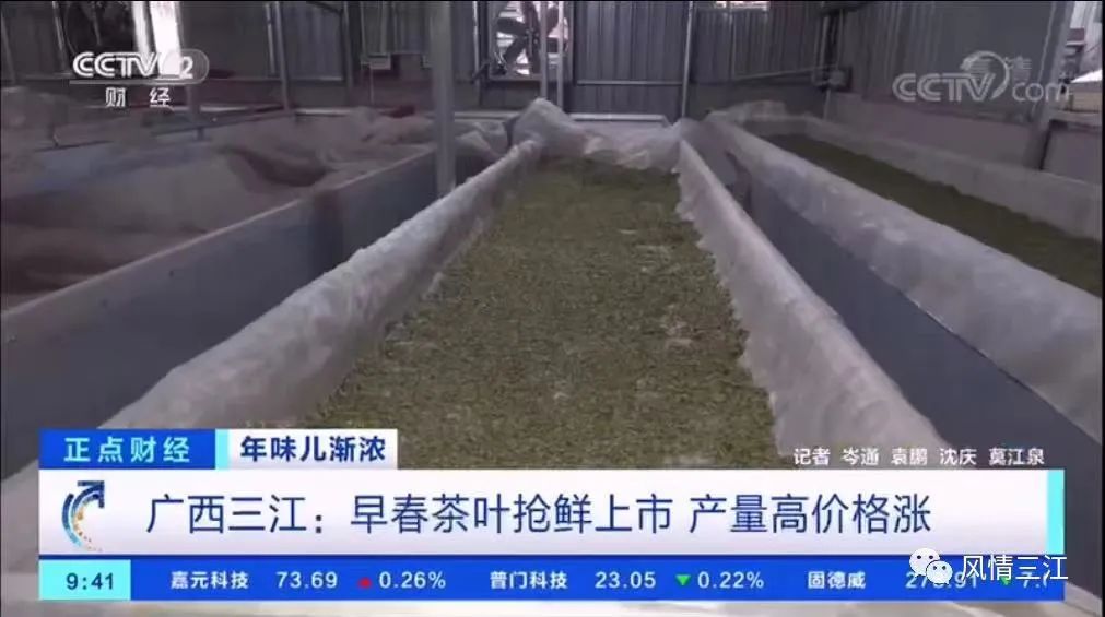 国际茶日:新锐三江茶,在茶产业的红海乘风破浪