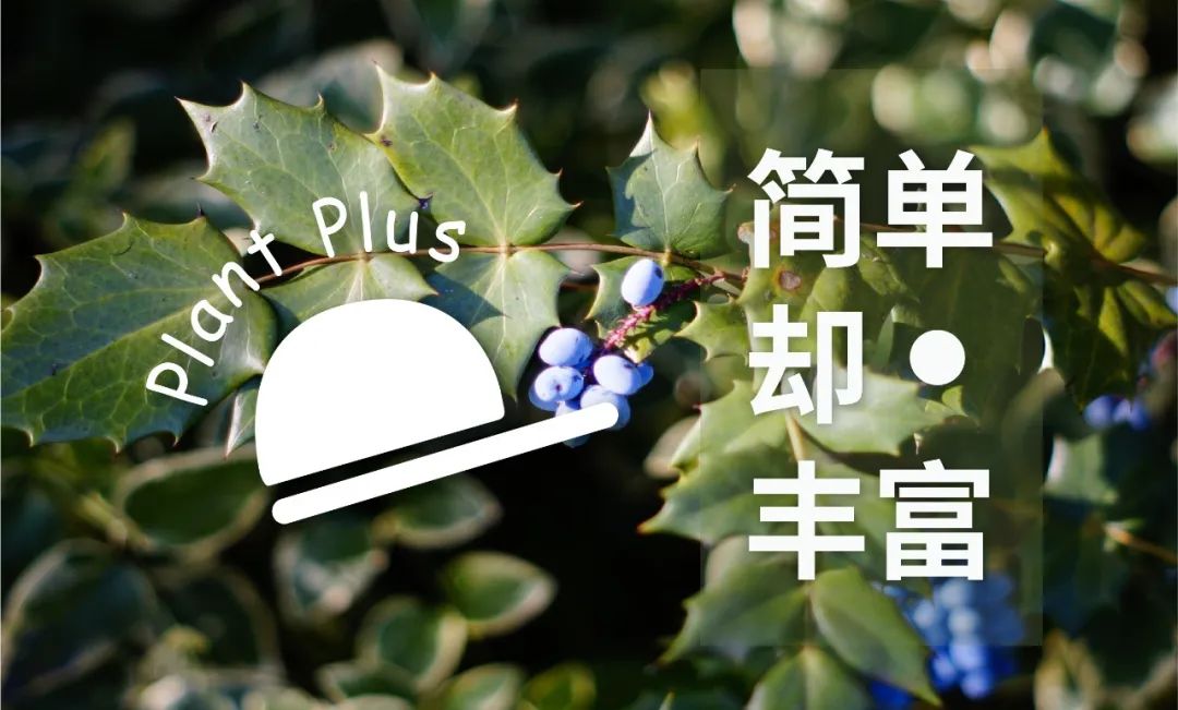 「赞匠」李伦:动态化多重生物酶解技术助力植物食材消费升级
