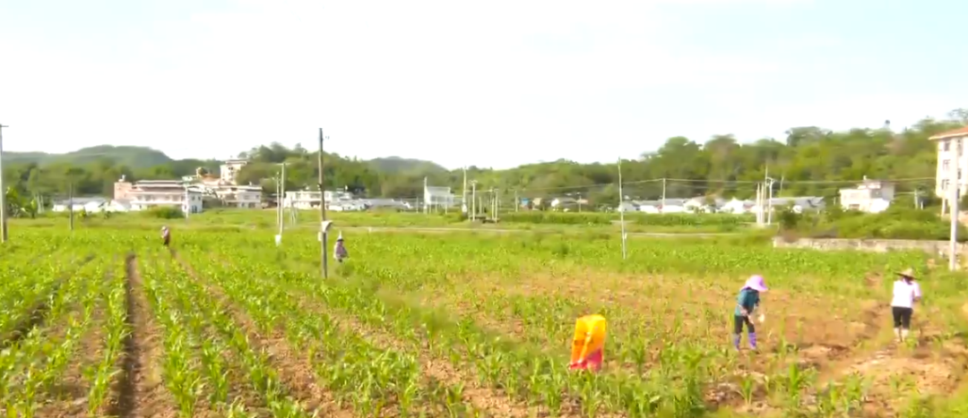 平远晨光牧业长田生态现代化牧场预计今年10月建成投产