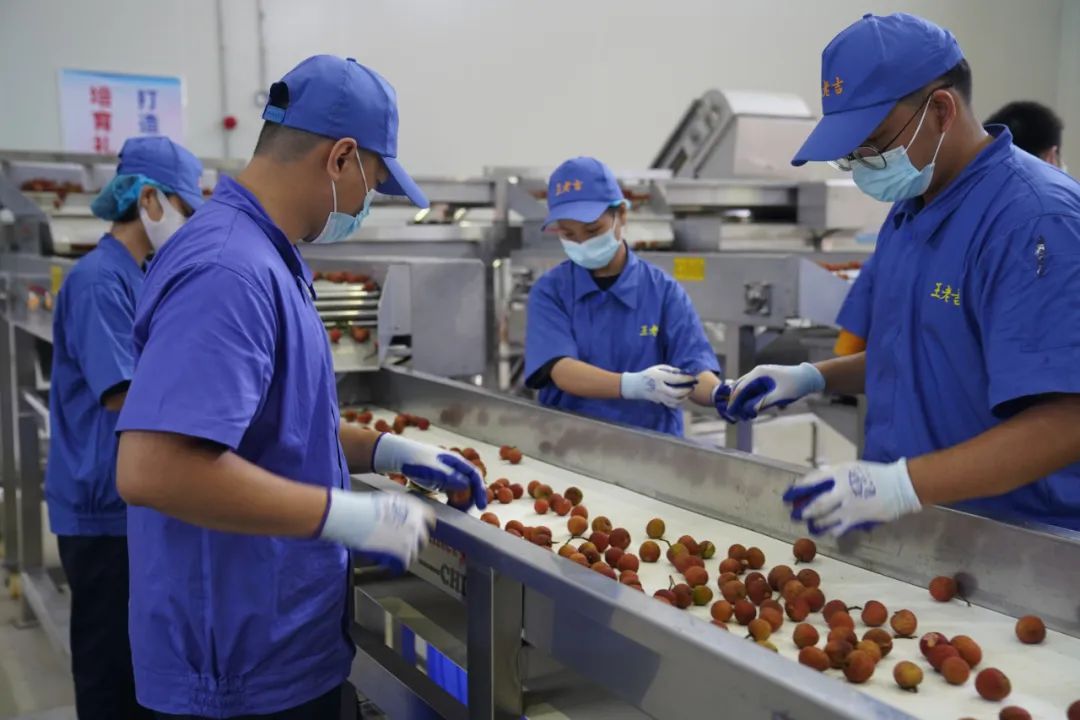 王老吉推出荔小吉品牌,打响荔枝深加工品牌的“第一枪”