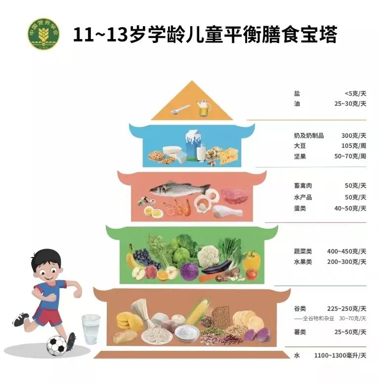 新版学龄儿童膳食指南发布,坚果成为平衡膳食“必选项”