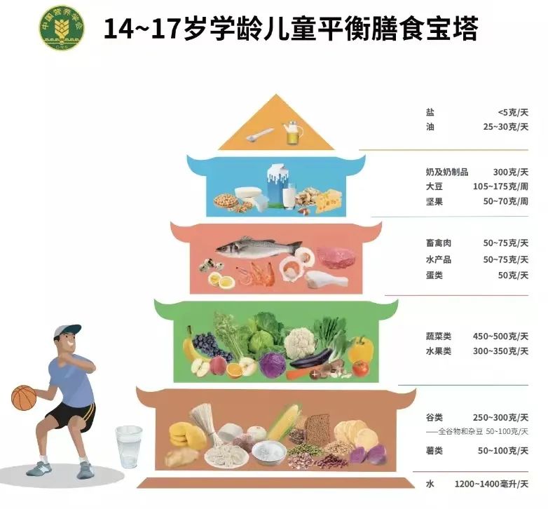 新版学龄儿童膳食指南发布,坚果成为平衡膳食“必选项”