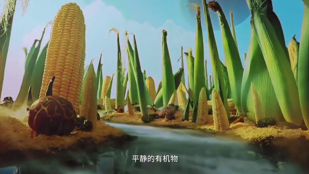 新旧品牌博弈，五芳斋何以占据端午“C位”？