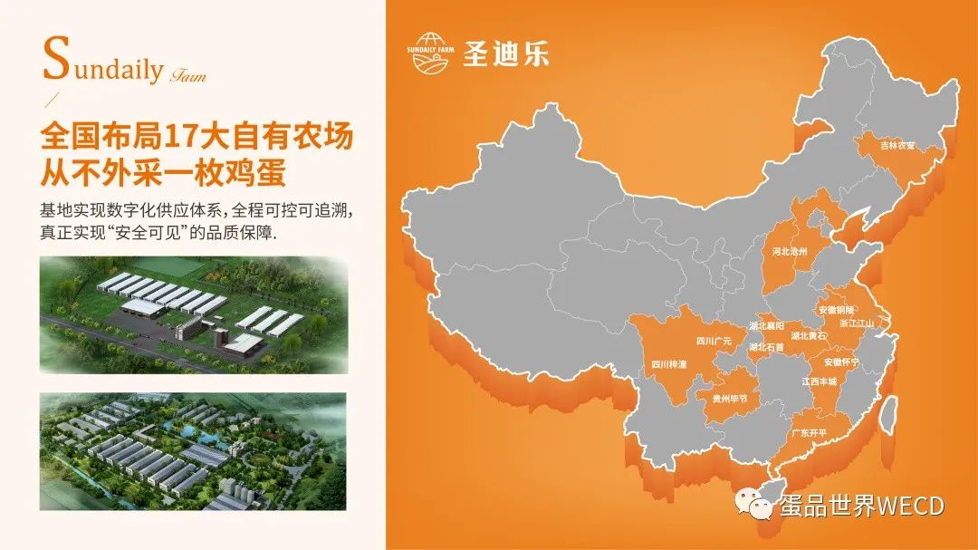 专访圣迪乐村:重新定位!用一枚航天级好蛋开创行业先河