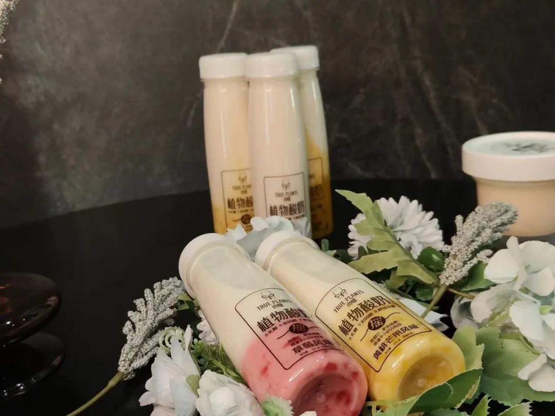 「贞植」联合创始人Hanna:用“多重植物蛋白+益生菌”探索植物基酸奶的美味秘诀