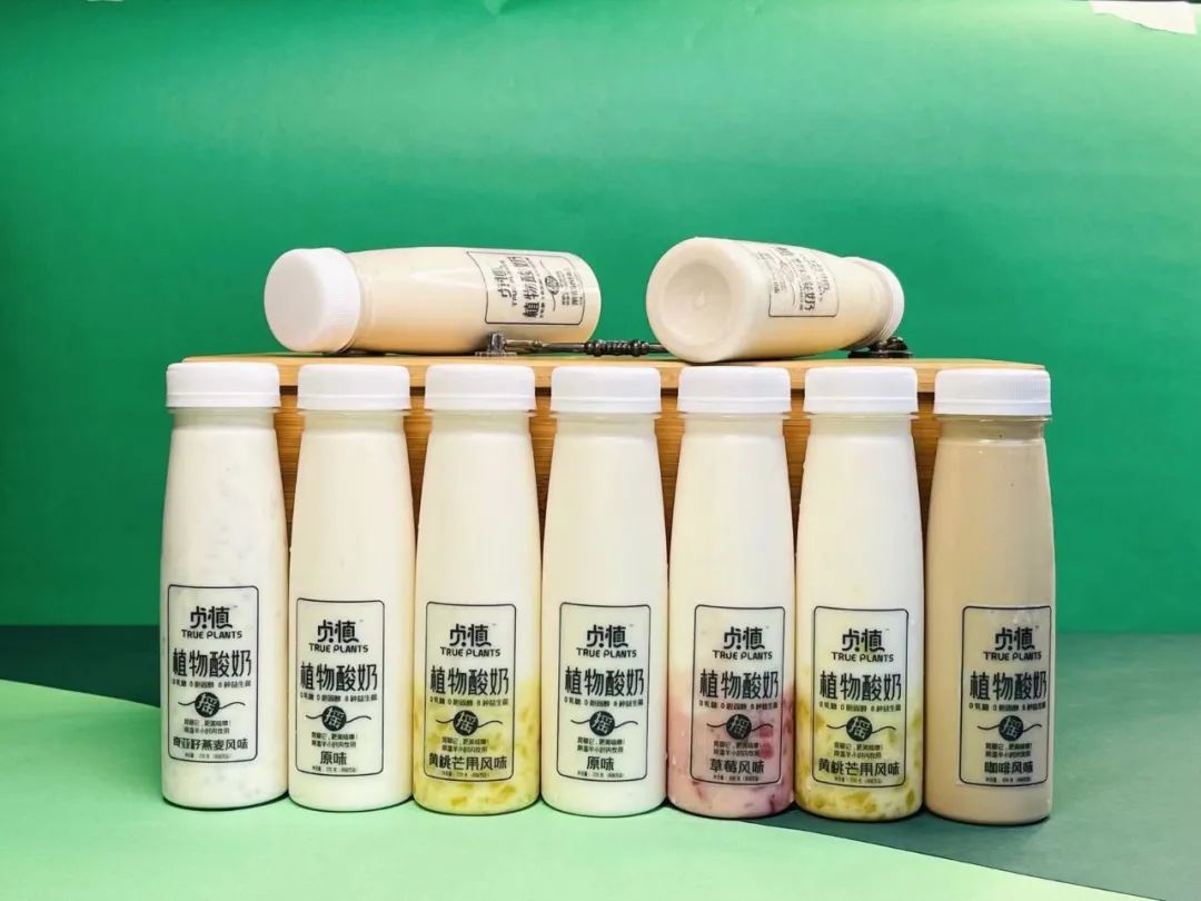 「贞植」联合创始人Hanna:用“多重植物蛋白+益生菌”探索植物基酸奶的美味秘诀