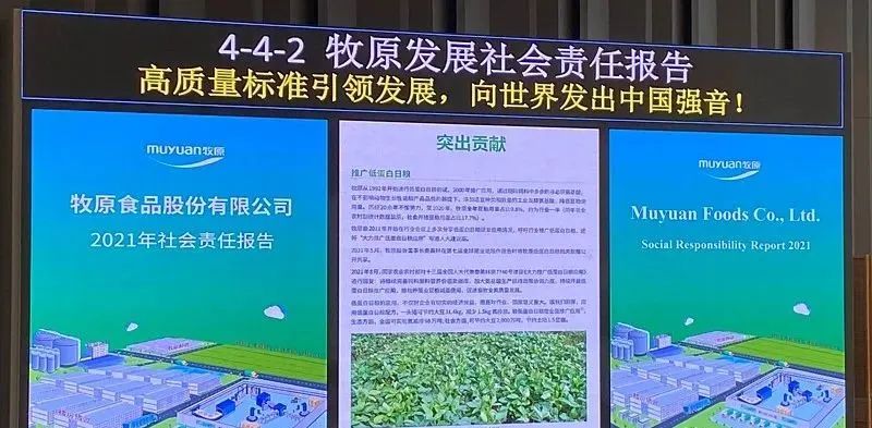 秦英林:创下一个新的风口,养猪还能冲天而起