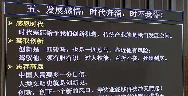 秦英林:创下一个新的风口,养猪还能冲天而起