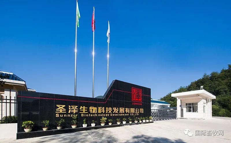 圣泽肖凡:多元化种源推动科技进步,打造良性市场环境
