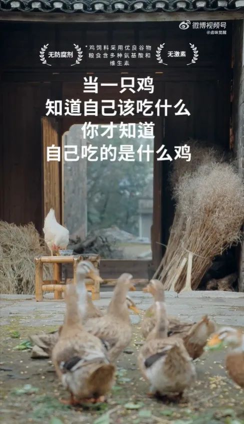 食品行业是个圈，老品类卷土重来，又火了一遍？
