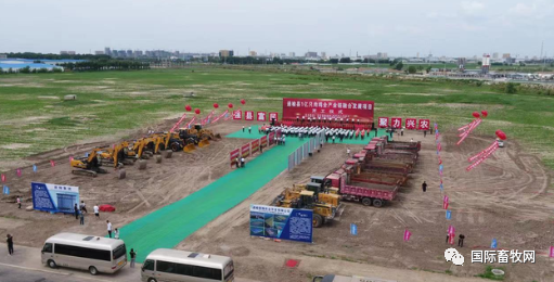 累计投资超100亿元！吉林德翔集团再增1亿只肉鸡全产业链项目今日动工