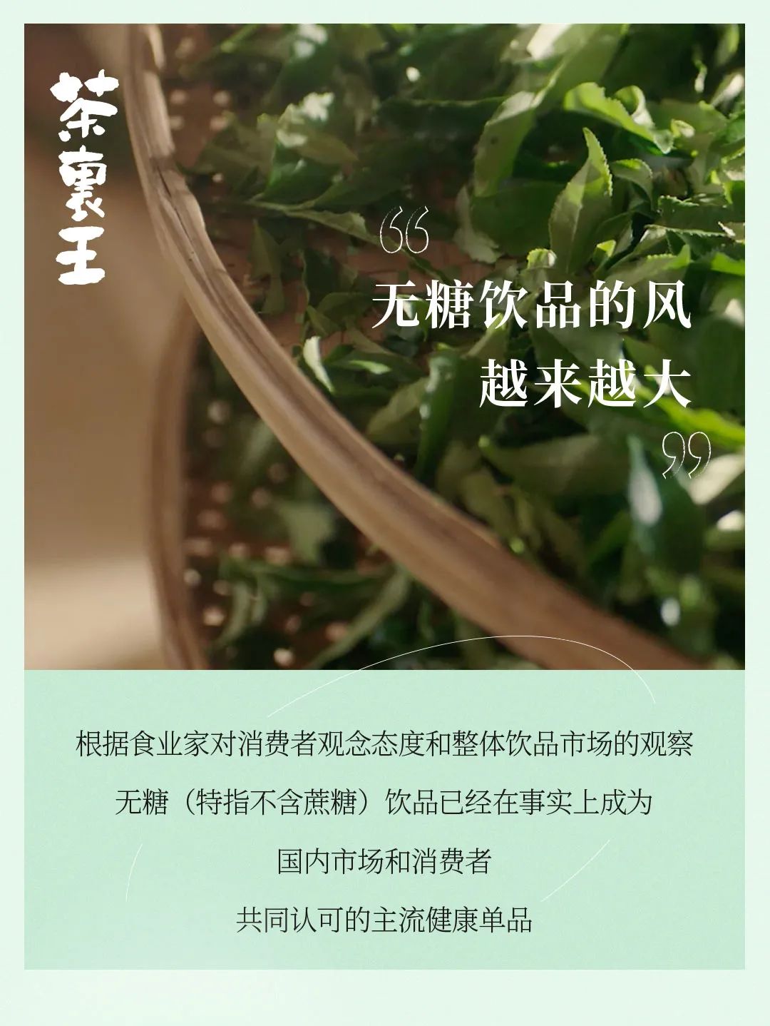 无糖茶饮成市场新宠，茶里王好茶出深山