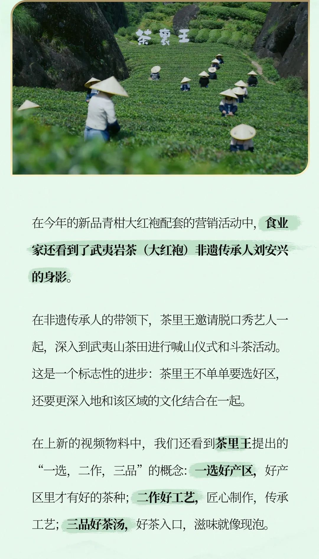 无糖茶饮成市场新宠，茶里王好茶出深山