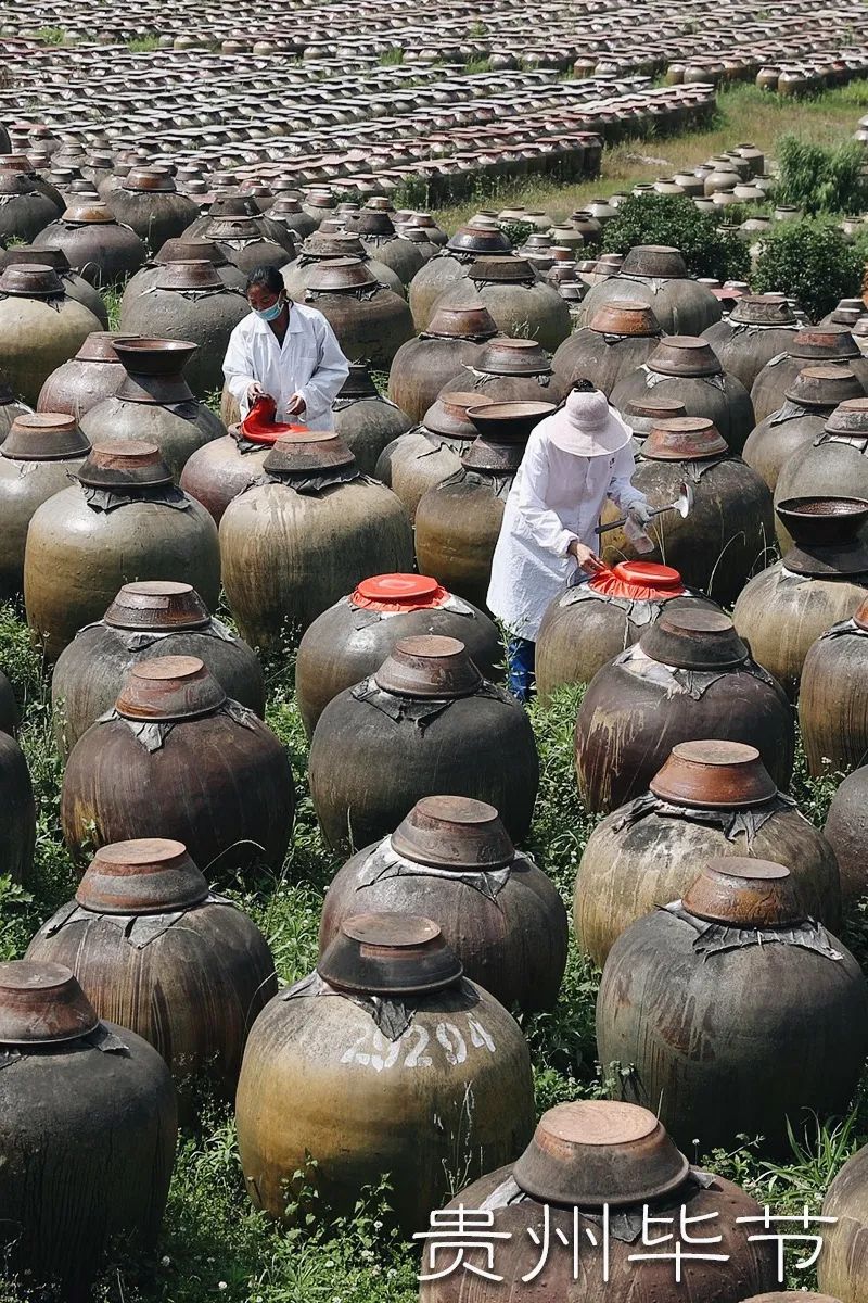 酒醋同源在山西？